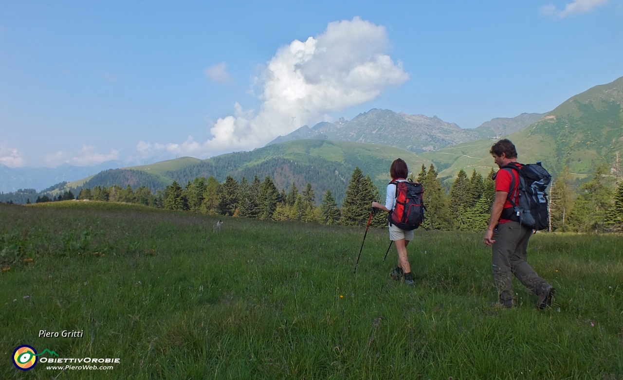 26 dosso Alpe Monte Cavallo....JPG